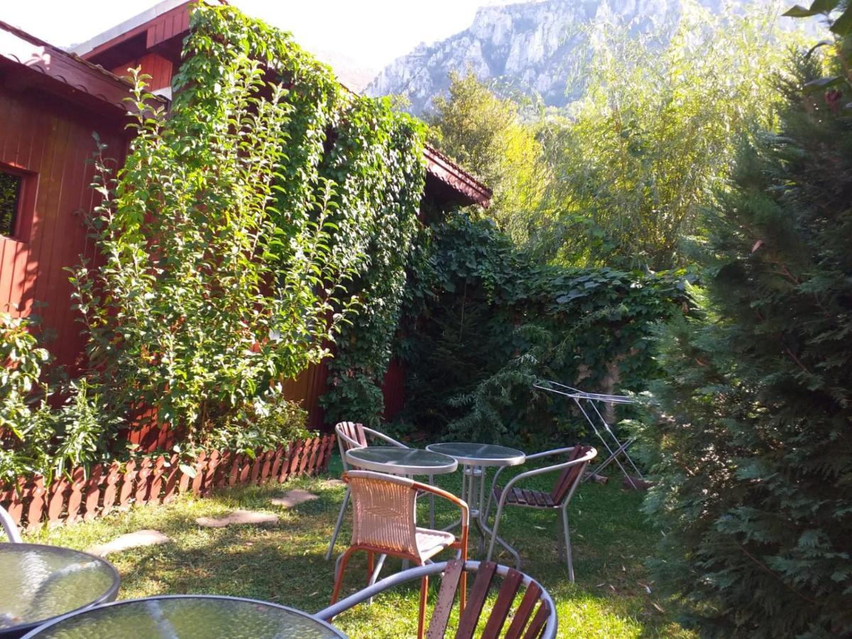 Pension Eden Băile Herculane Extérieur photo