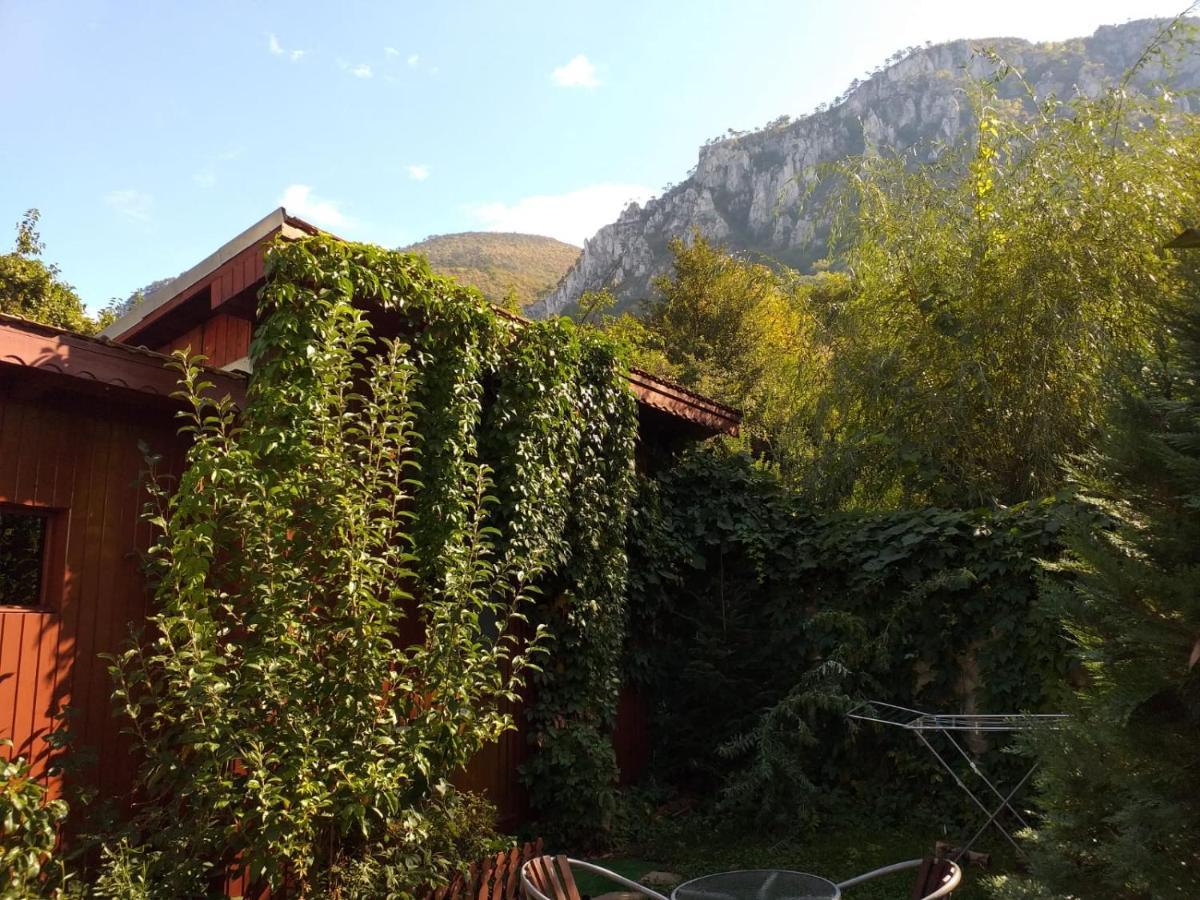 Pension Eden Băile Herculane Extérieur photo