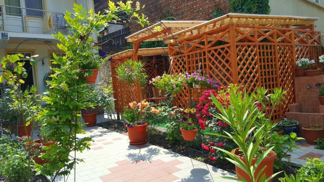 Pension Eden Băile Herculane Extérieur photo