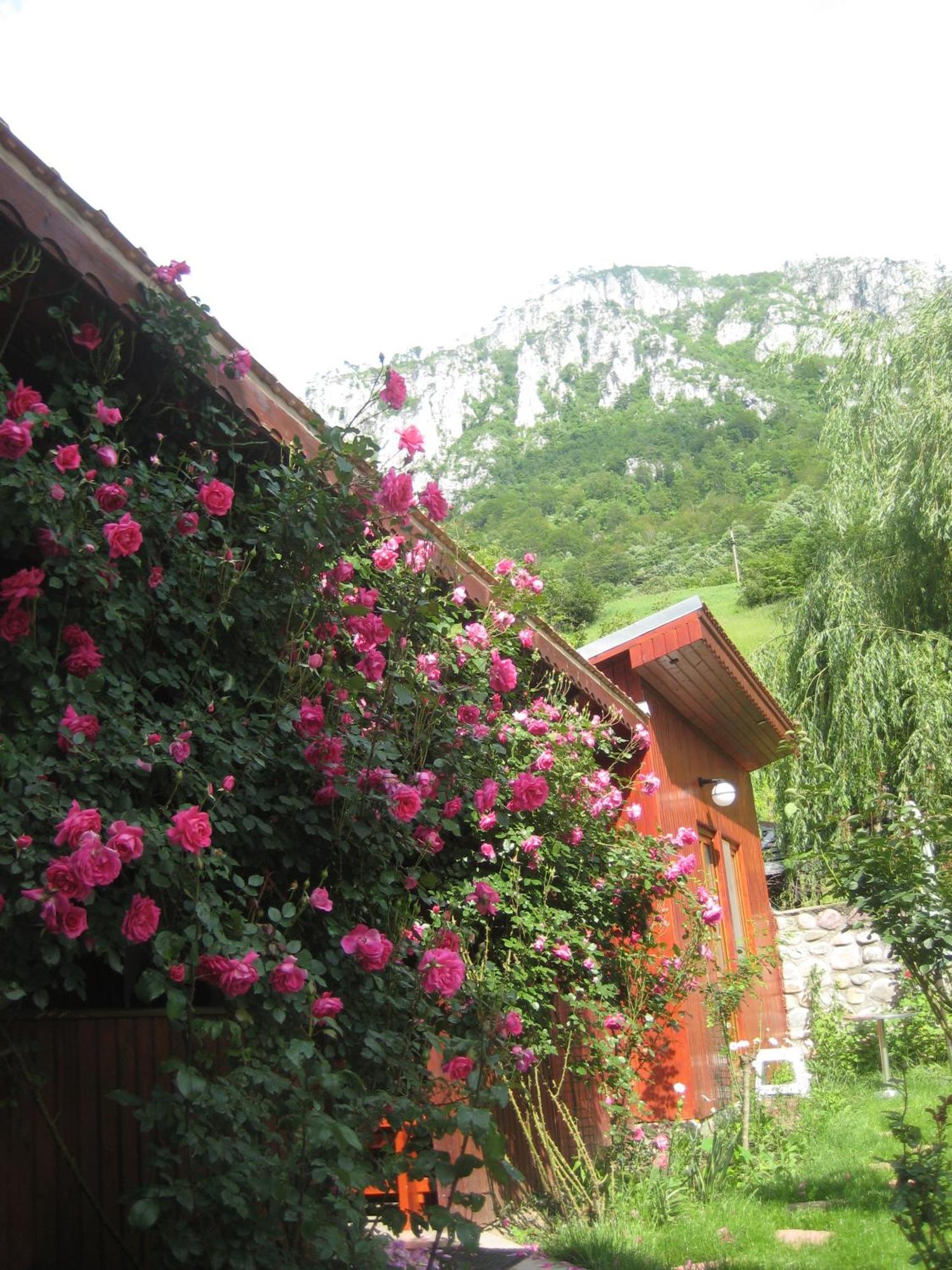 Pension Eden Băile Herculane Extérieur photo