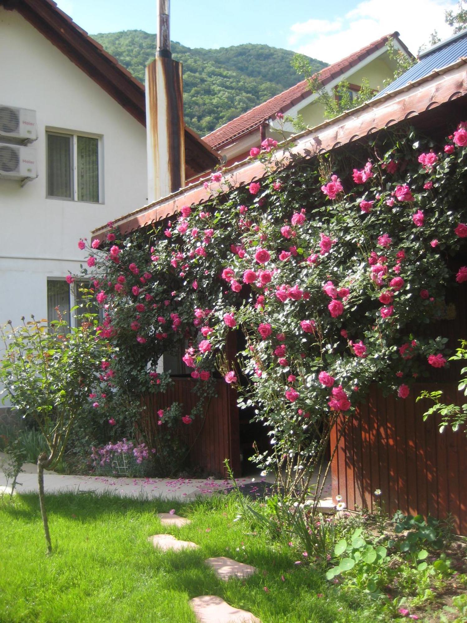 Pension Eden Băile Herculane Extérieur photo