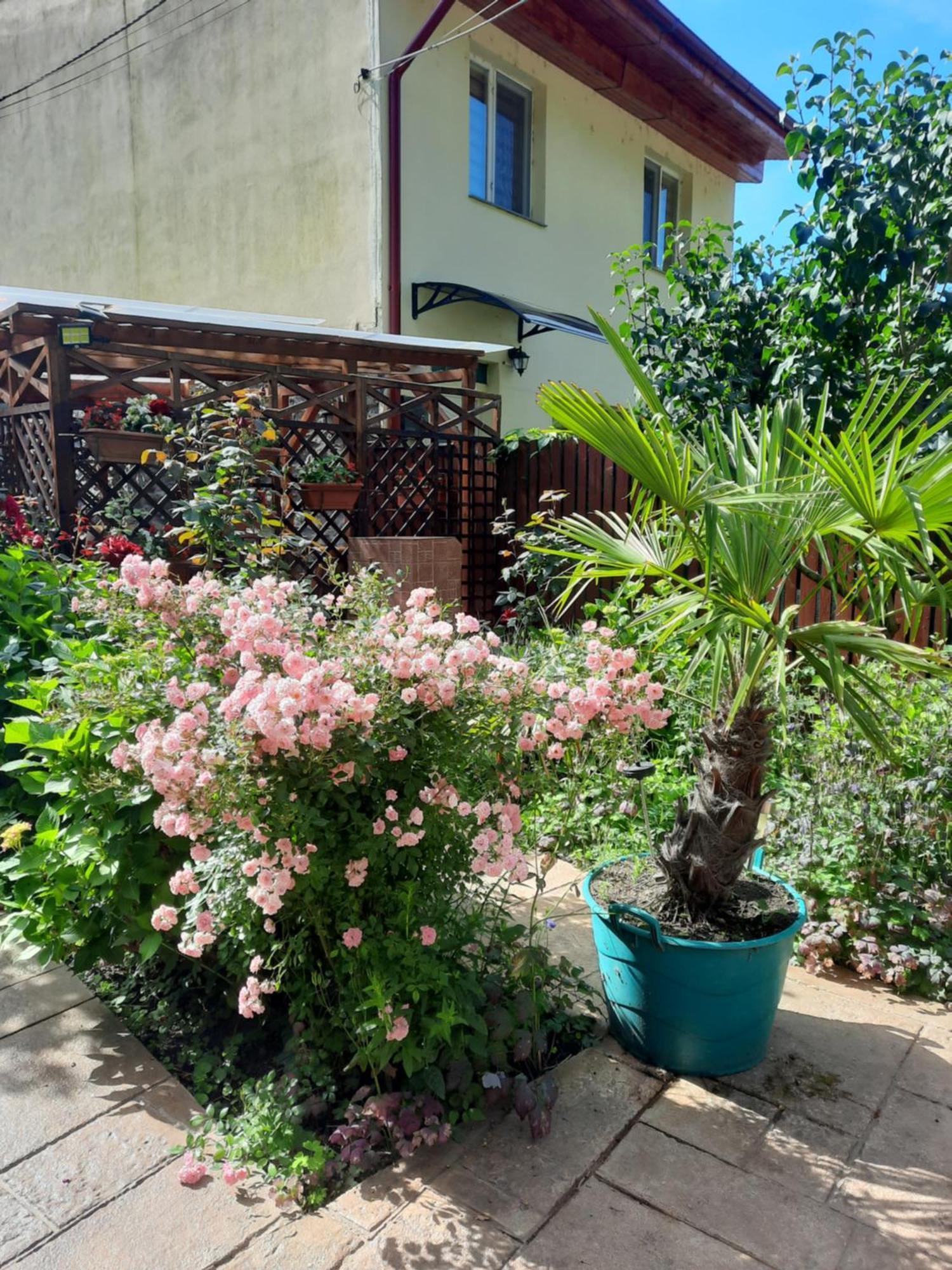 Pension Eden Băile Herculane Extérieur photo