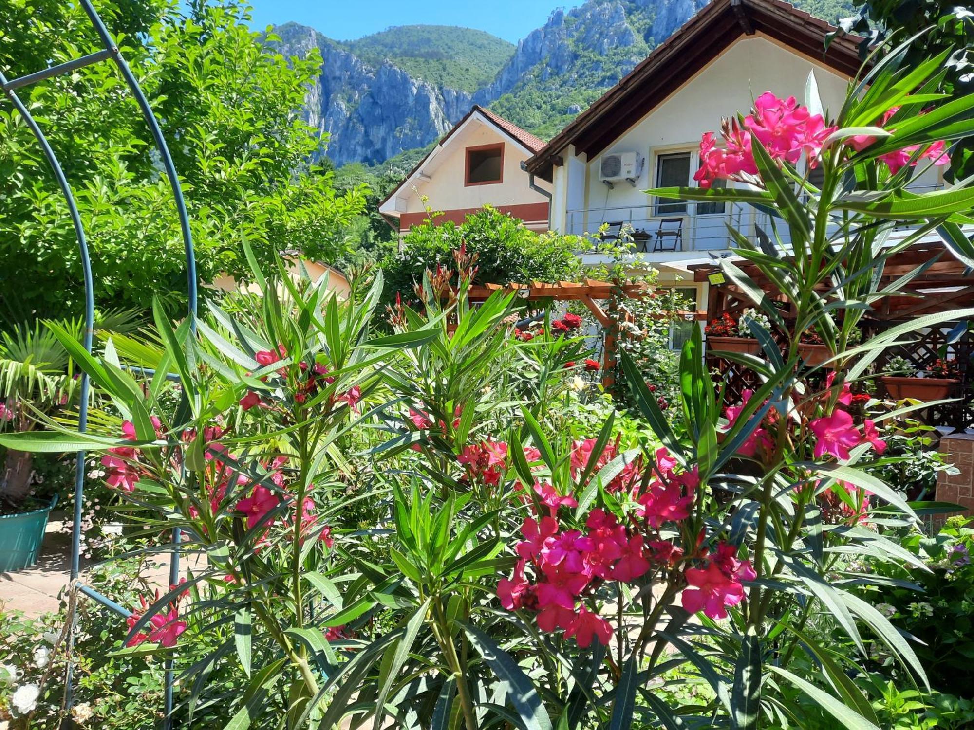 Pension Eden Băile Herculane Extérieur photo