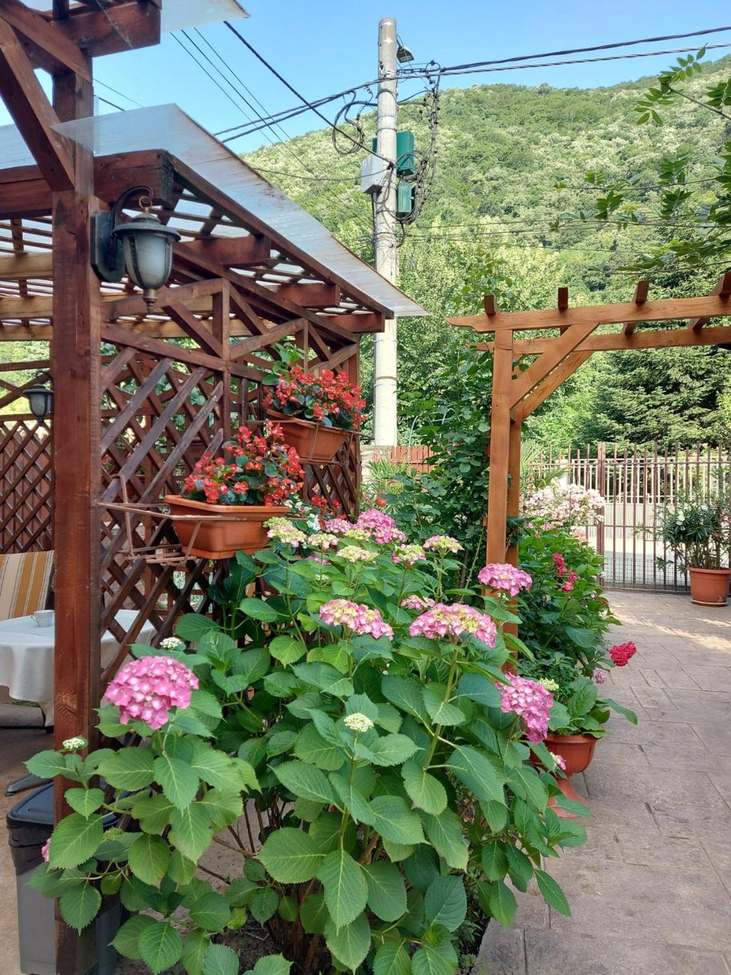 Pension Eden Băile Herculane Extérieur photo